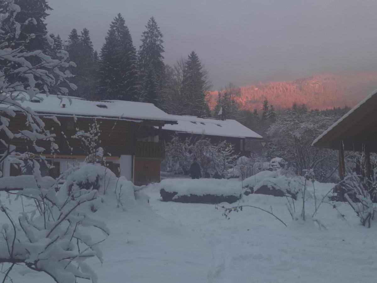 Huettenzauber Ferienwohnung Mitten Im Nationalpark Lindberg Exterior photo